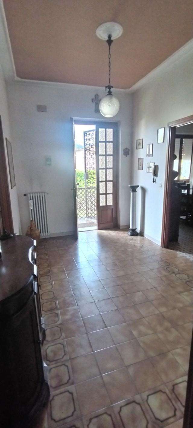  - foto 12