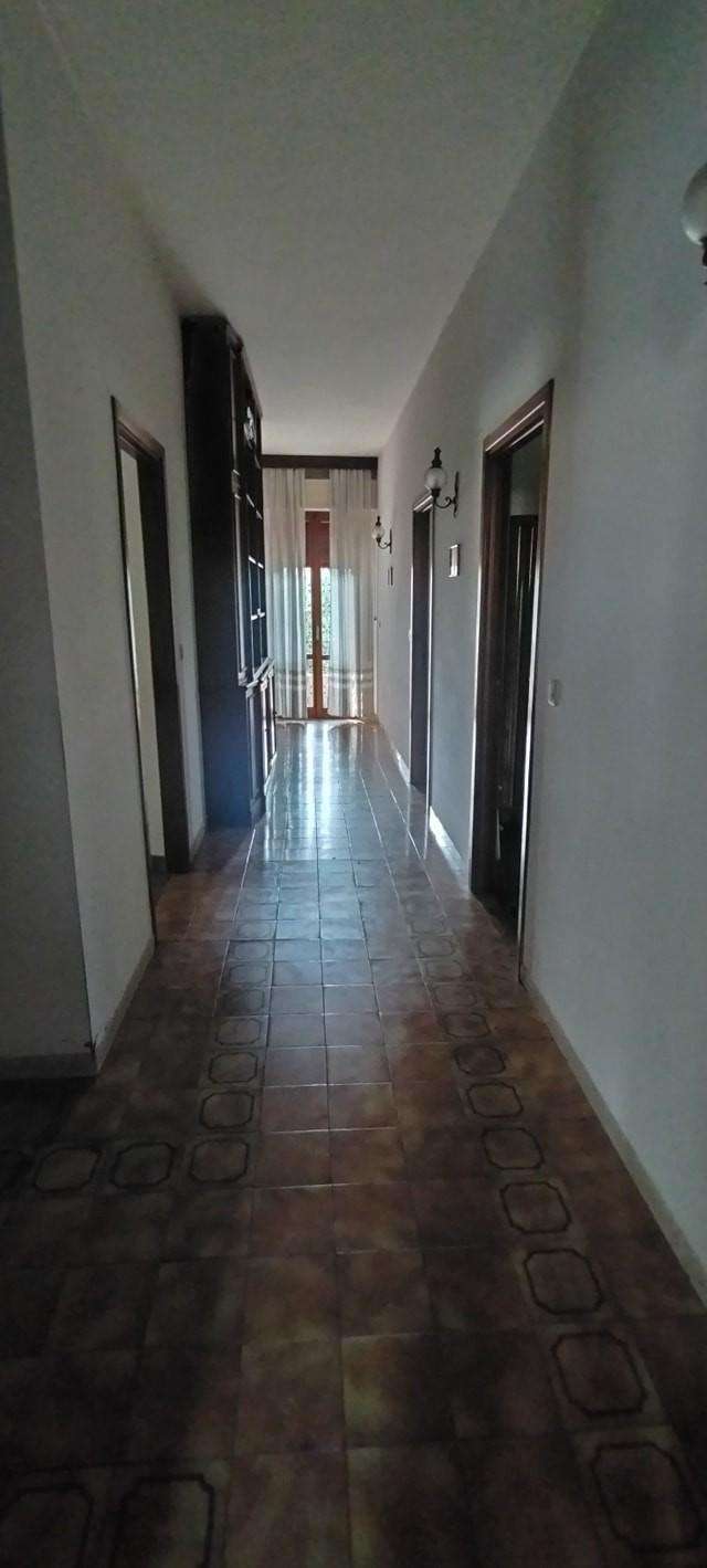  - foto 17