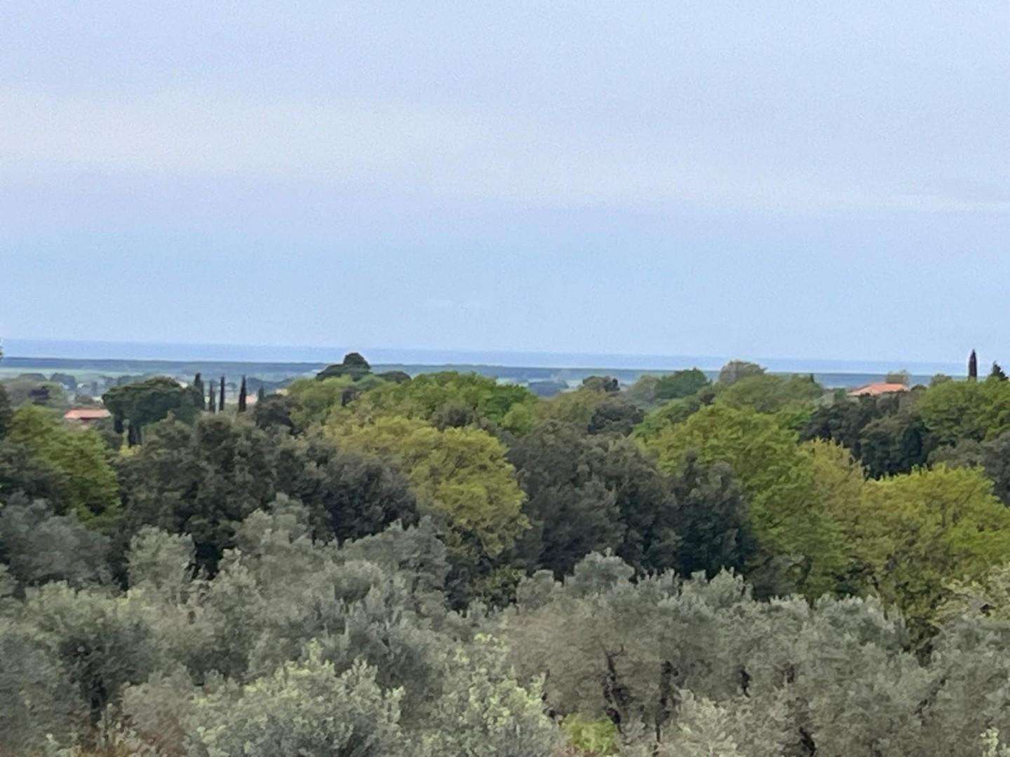  - foto 16