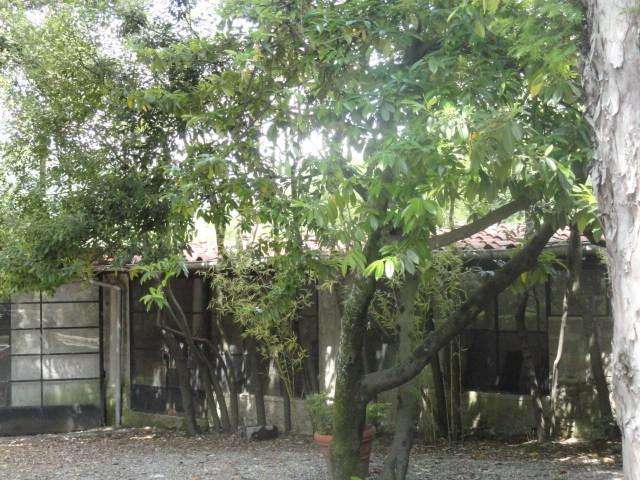  - foto 23