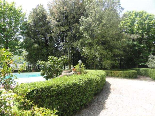  - foto 24