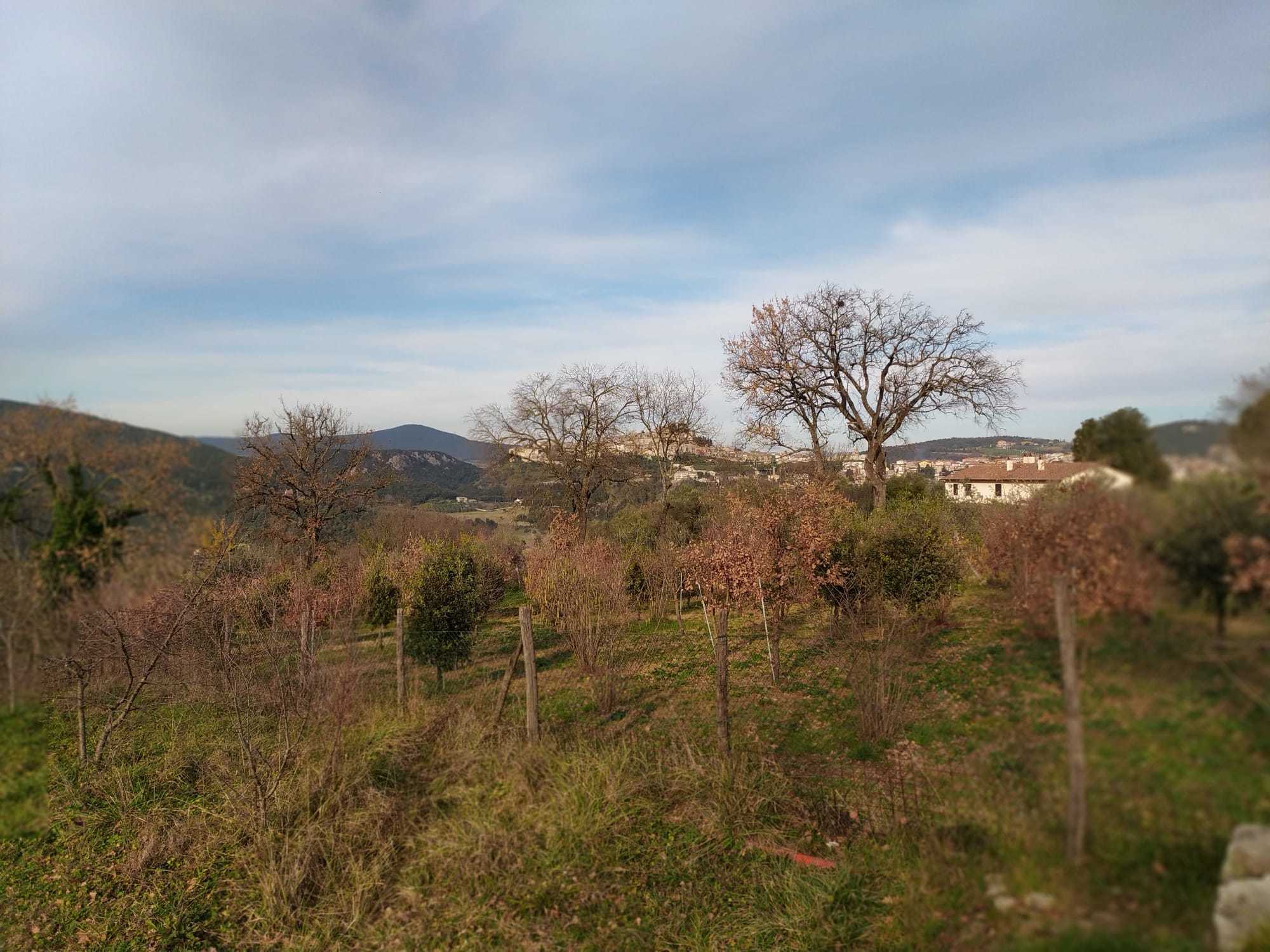  - foto 12