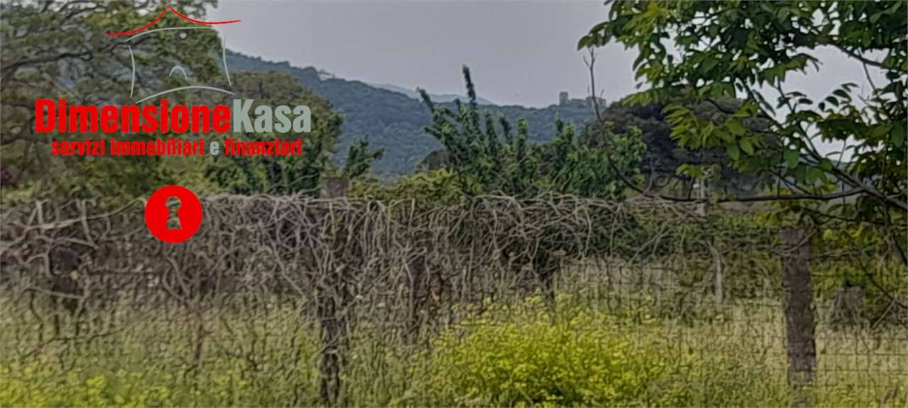 immagine annuncio 2 di 3