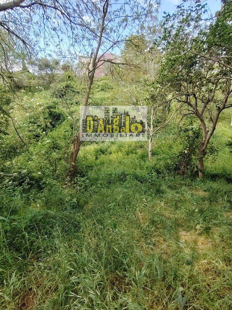  - foto 9
