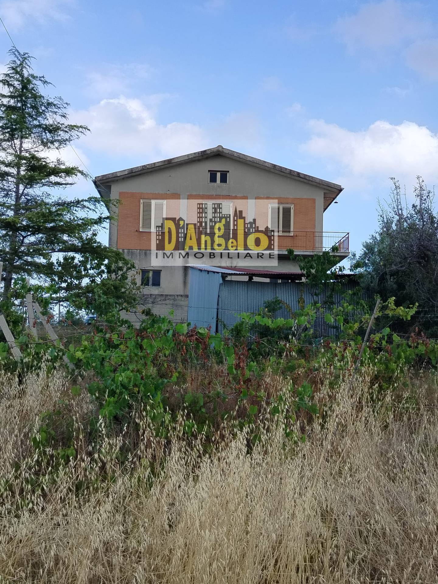  - foto 2