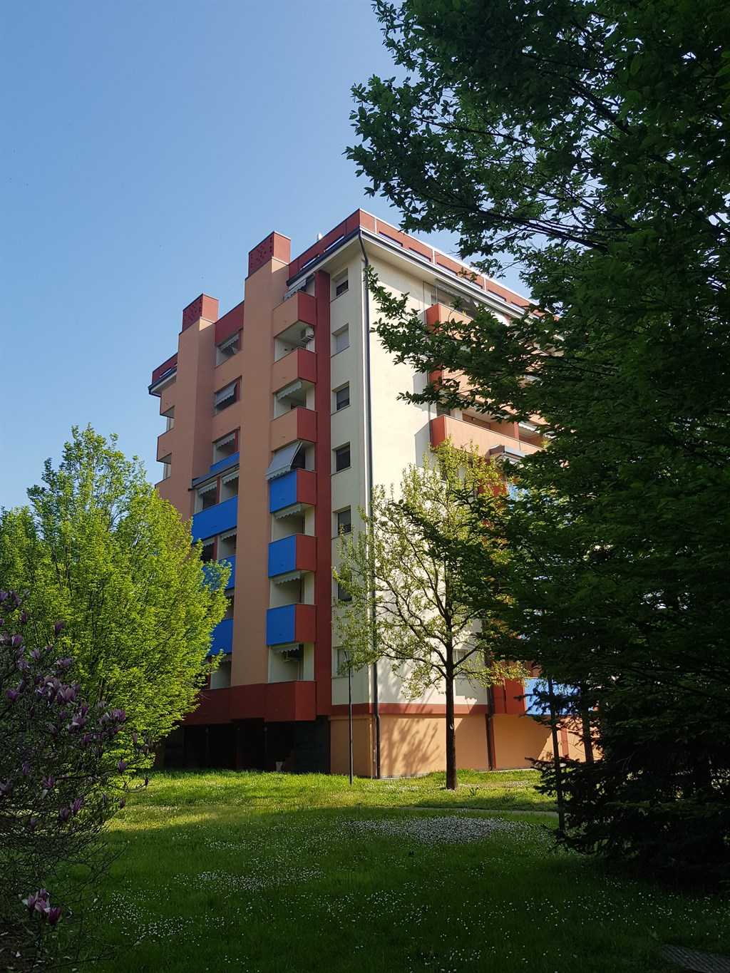 immagine annuncio 9 di 15