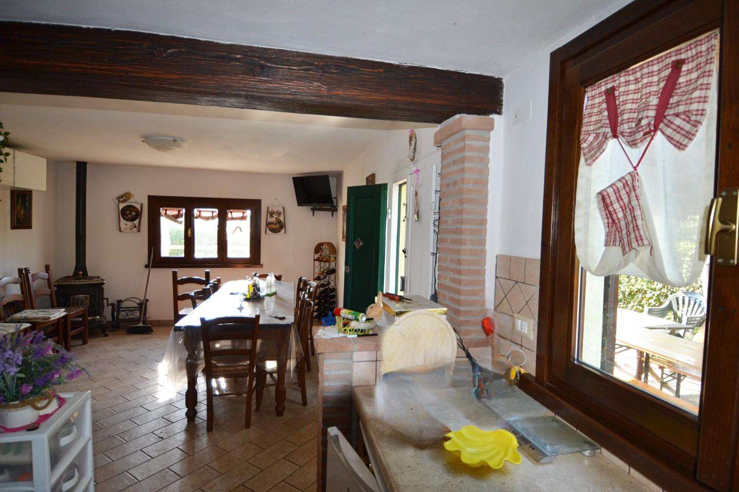 immagine annuncio 11 di 14