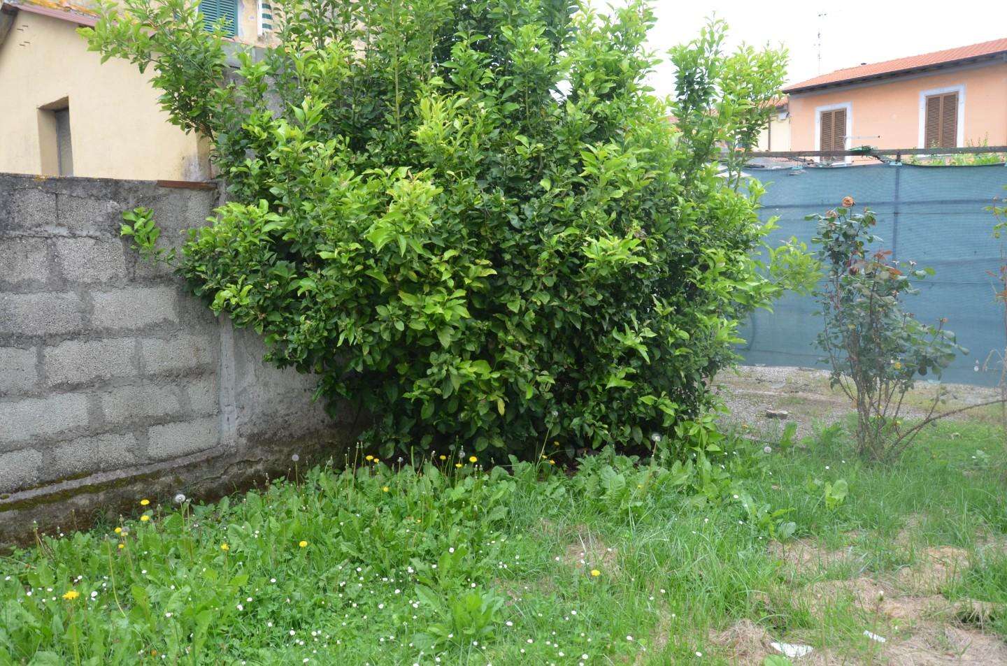 immagine annuncio 4 di 14
