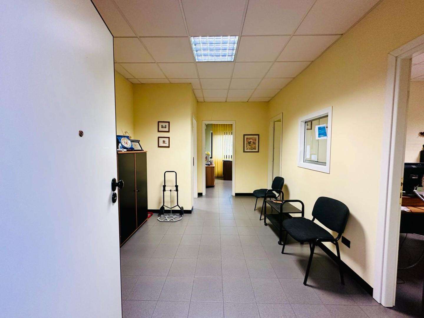 immagine annuncio 3 di 7