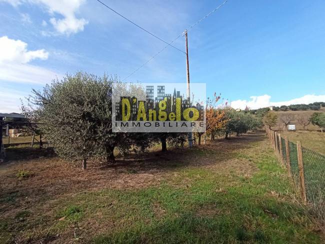 immagine annuncio 6 di 7