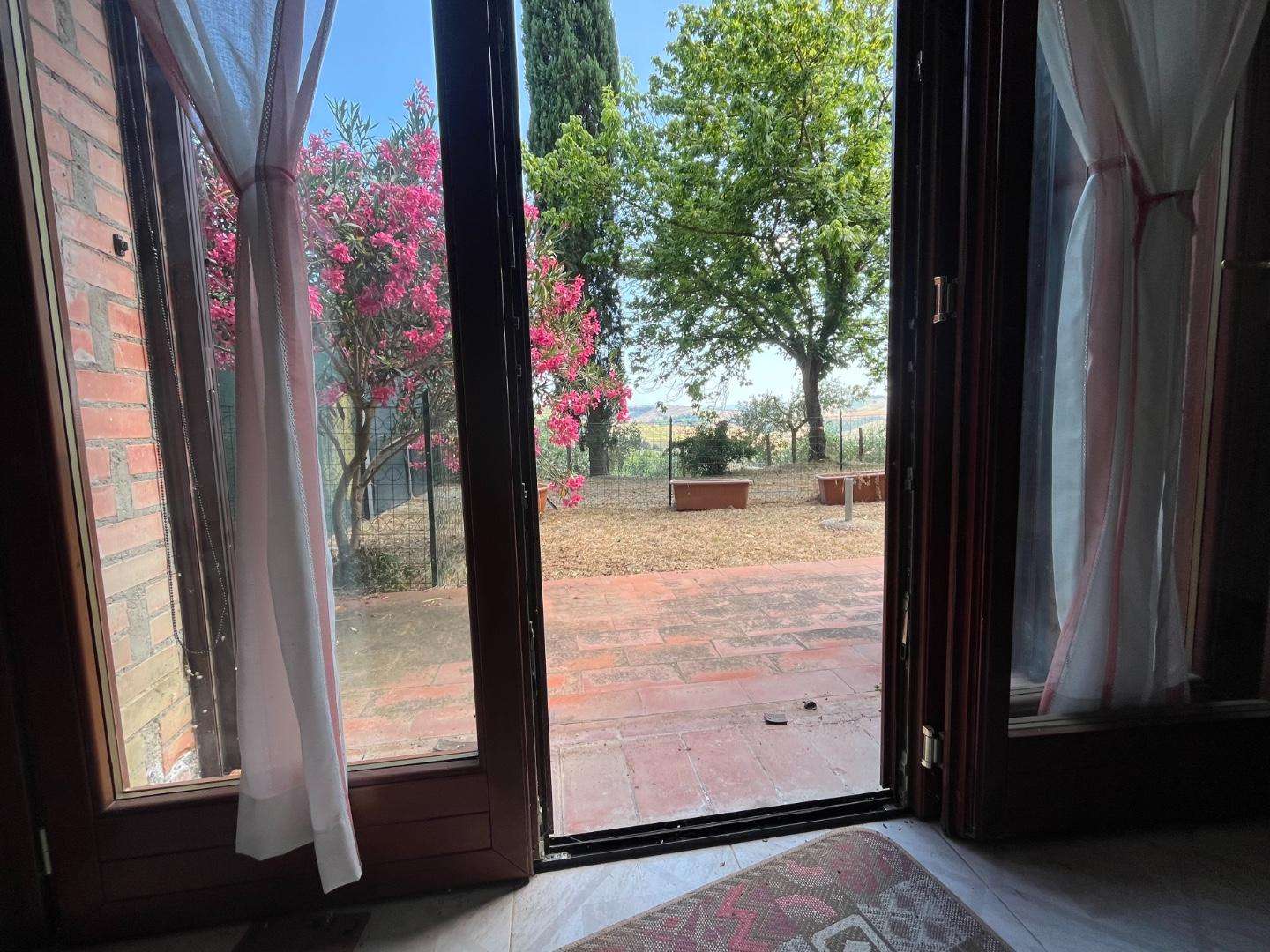  - foto 21