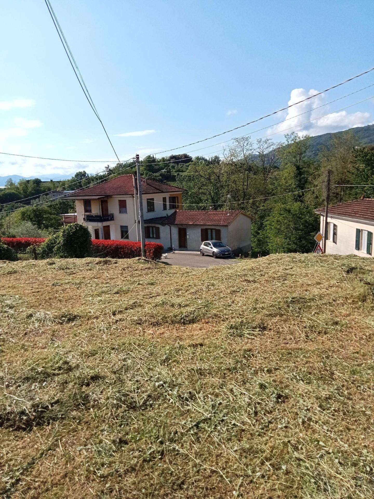 immagine annuncio 10 di 14
