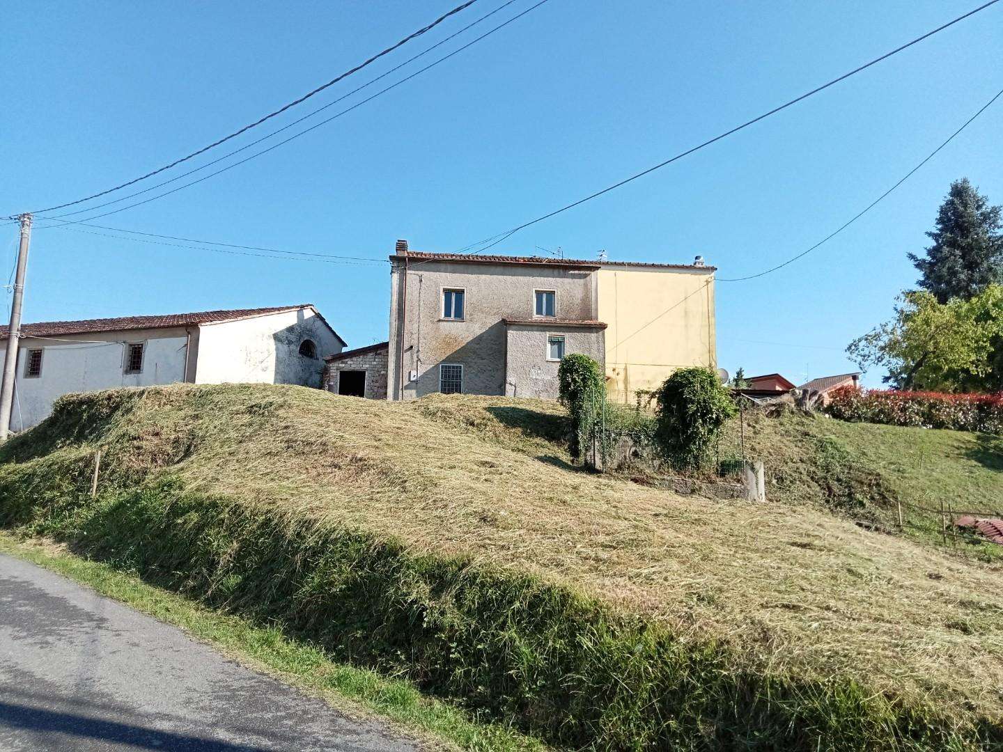immagine annuncio 11 di 14
