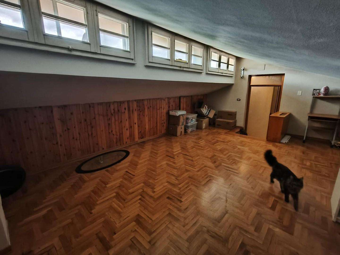 - foto 19
