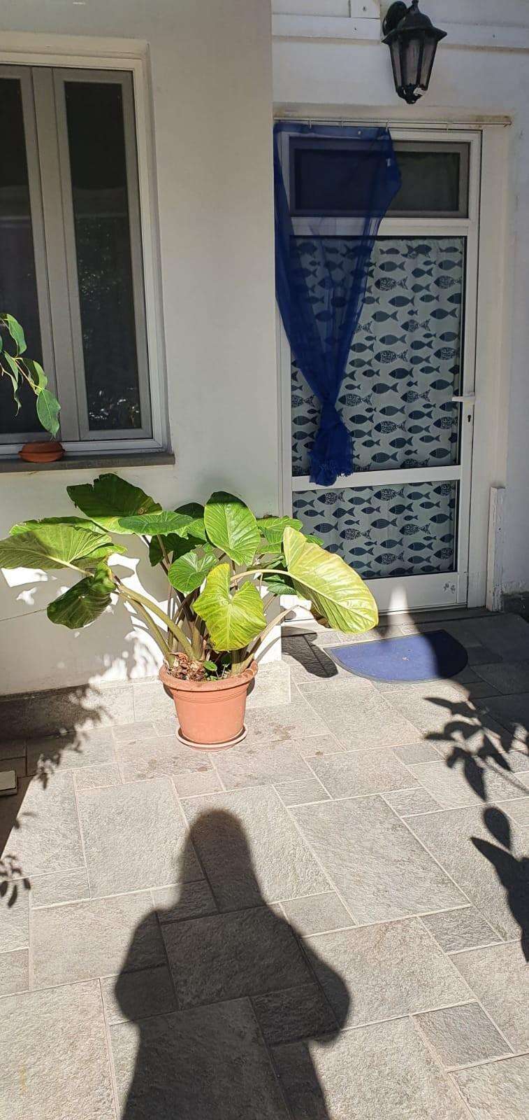  - foto 12
