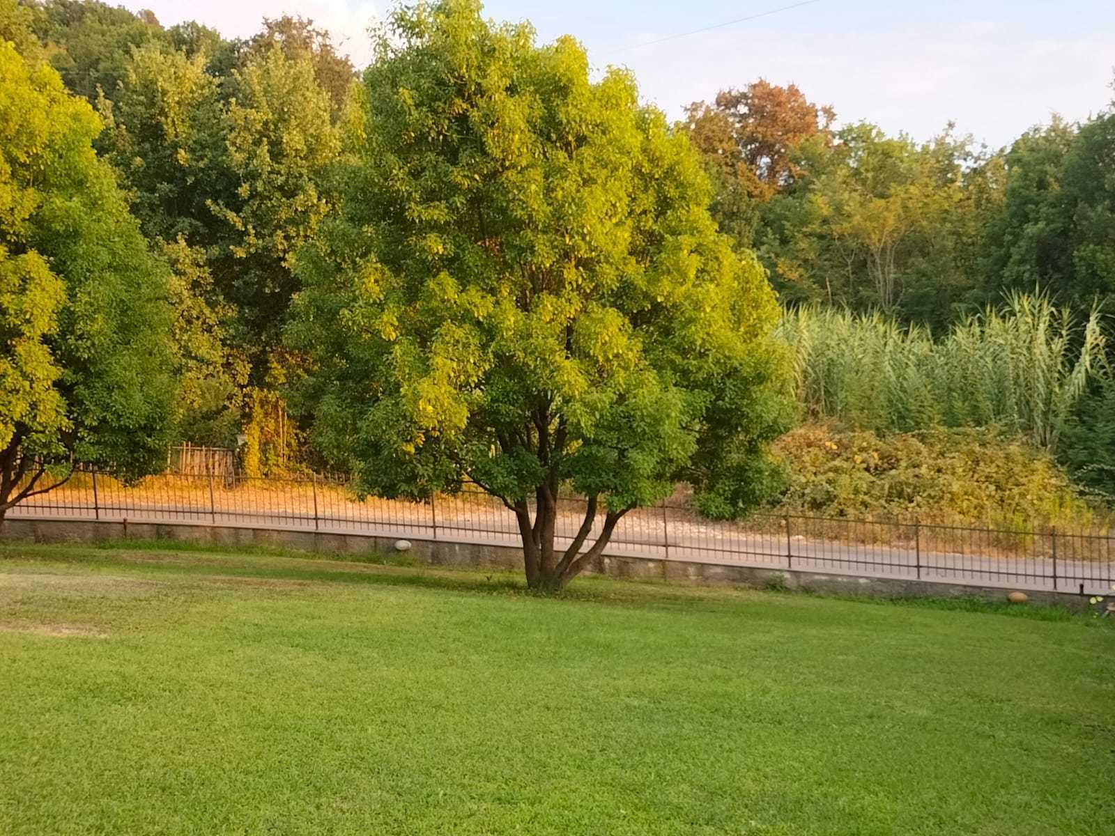  - foto 48