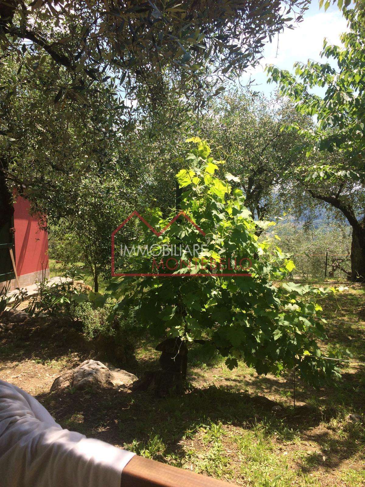 immagine annuncio 8 di 11