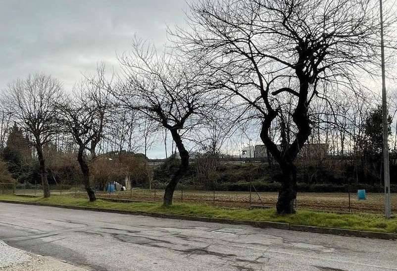 immagine annuncio 4 di 10