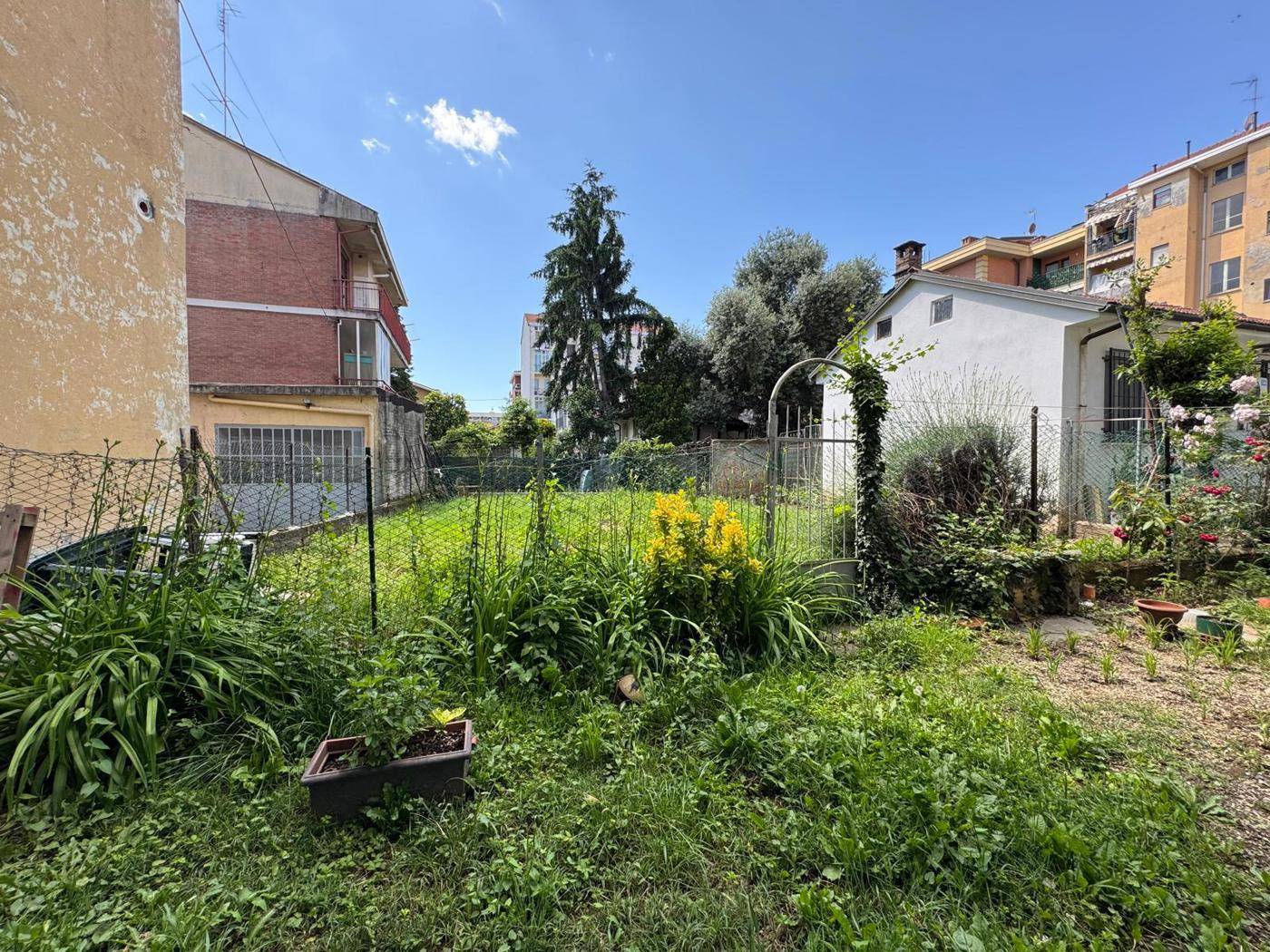 immagine annuncio 9 di 10