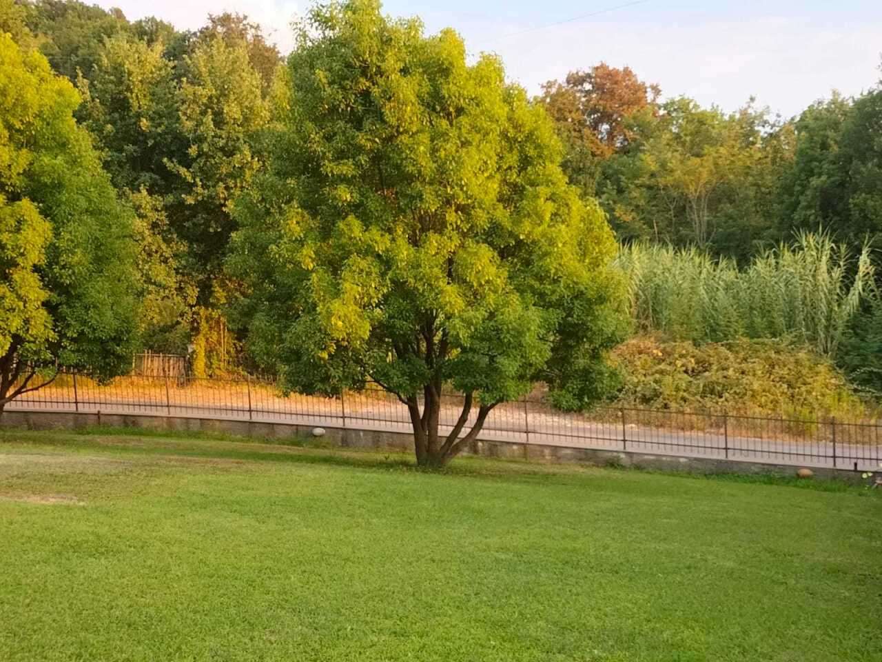  - foto 48