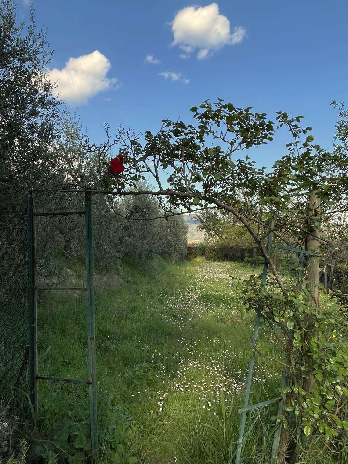  - foto 101
