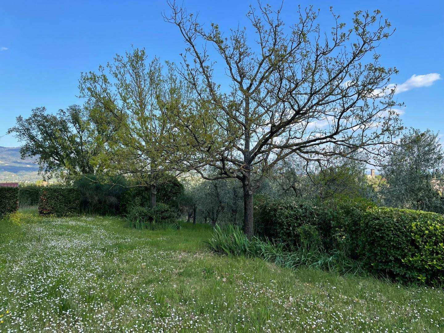  - foto 104