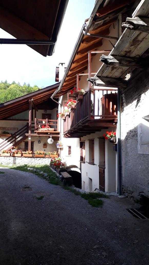 immagine annuncio 6 di 14