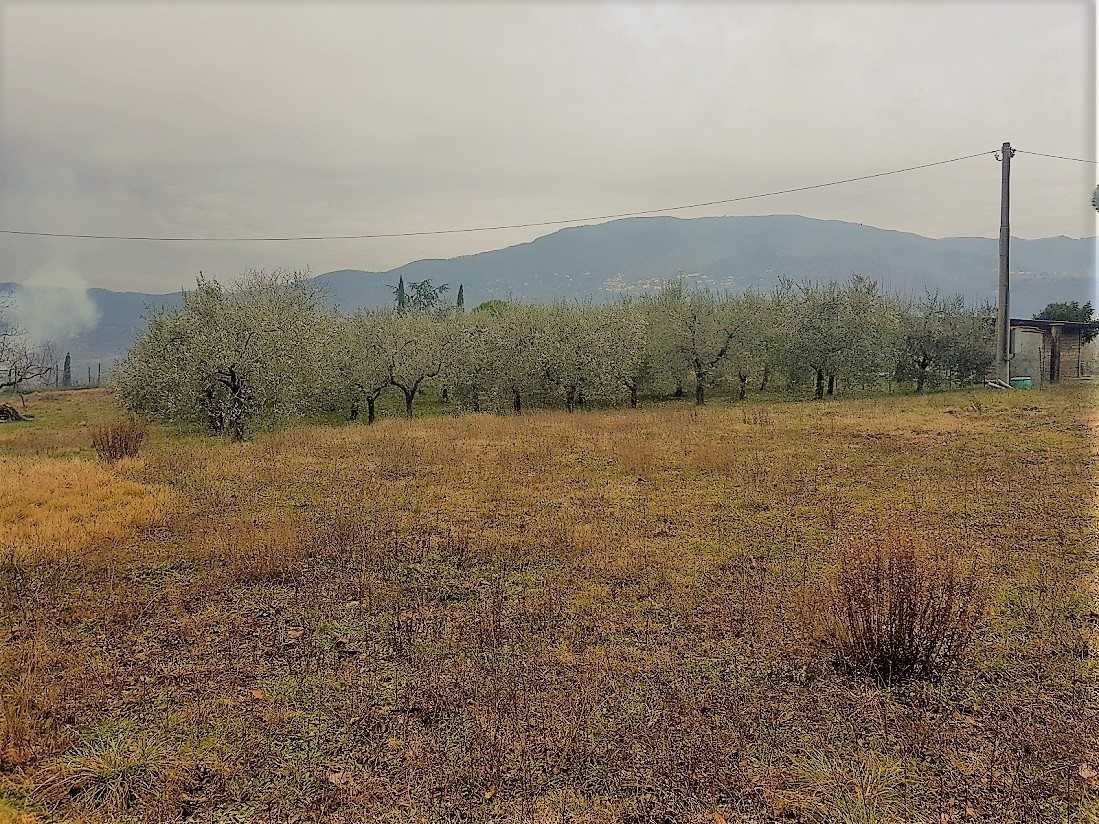  - foto 3