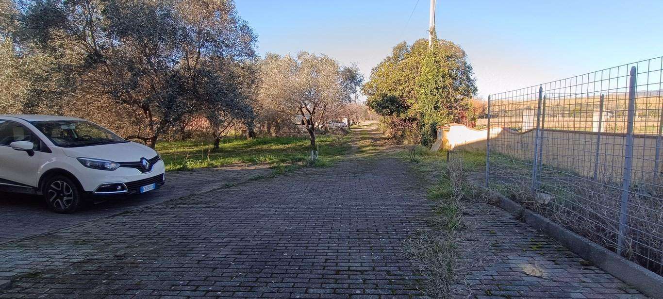  - foto 2