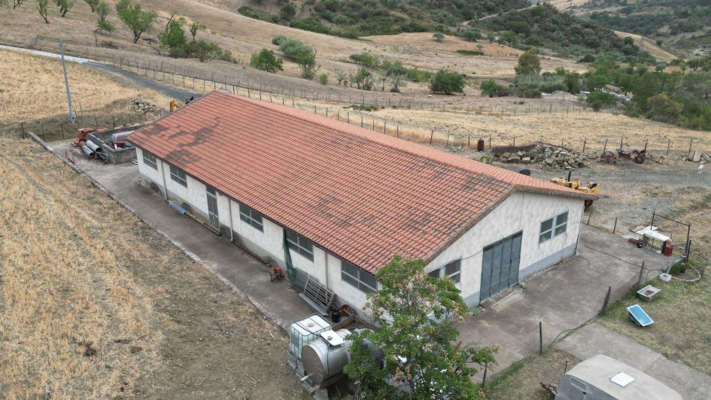  - foto 20