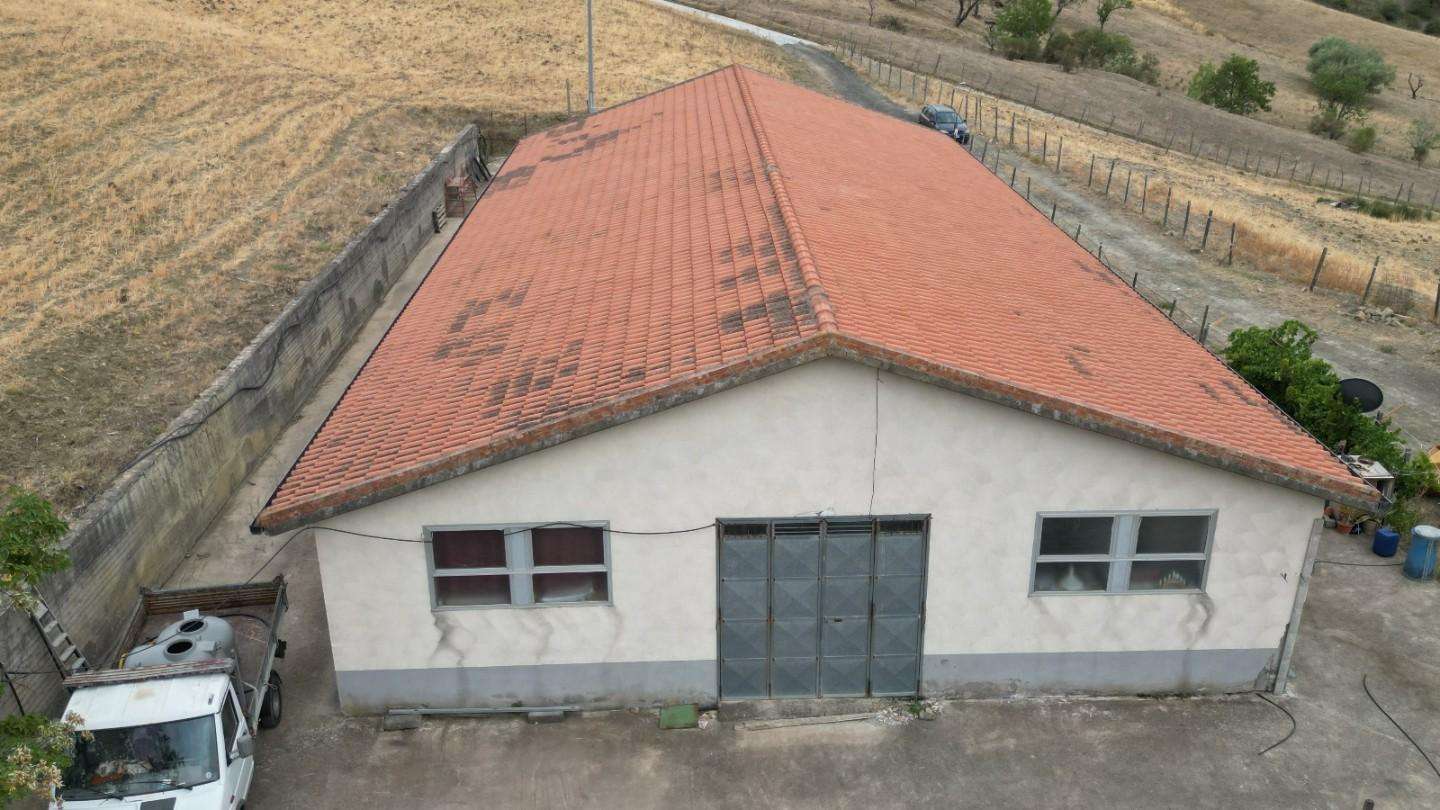  - foto 26
