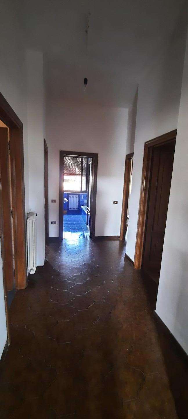  - foto 5