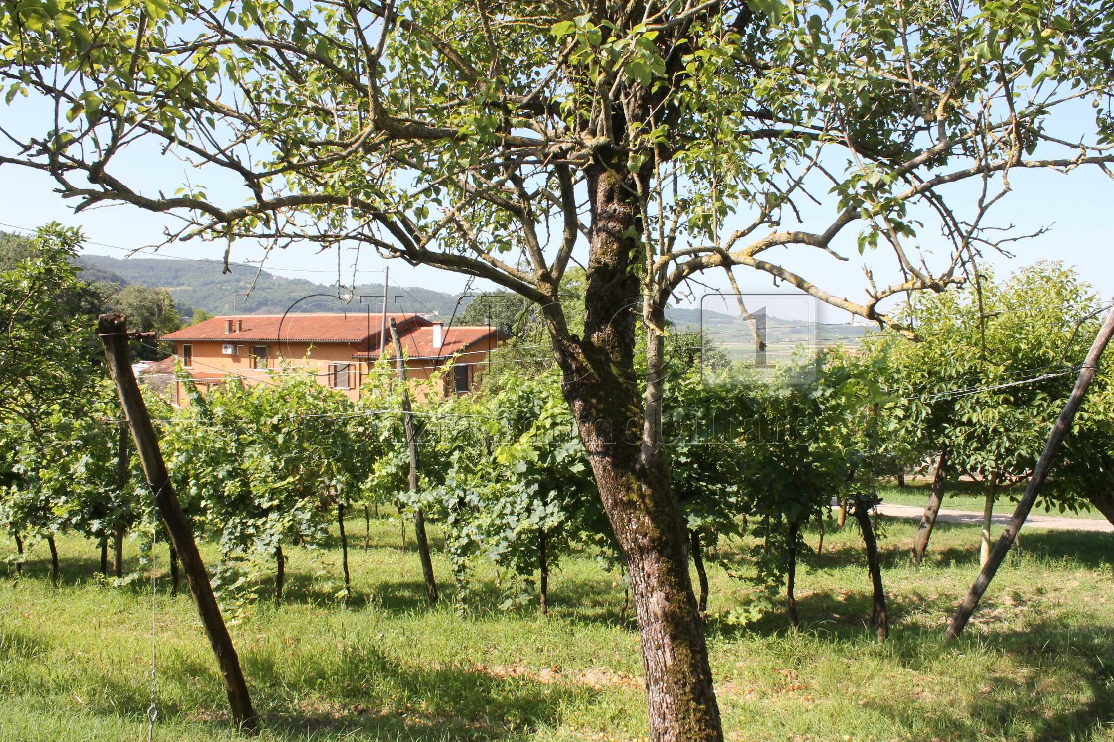 casa indipendente in vendita a Brendola in zona San Vito