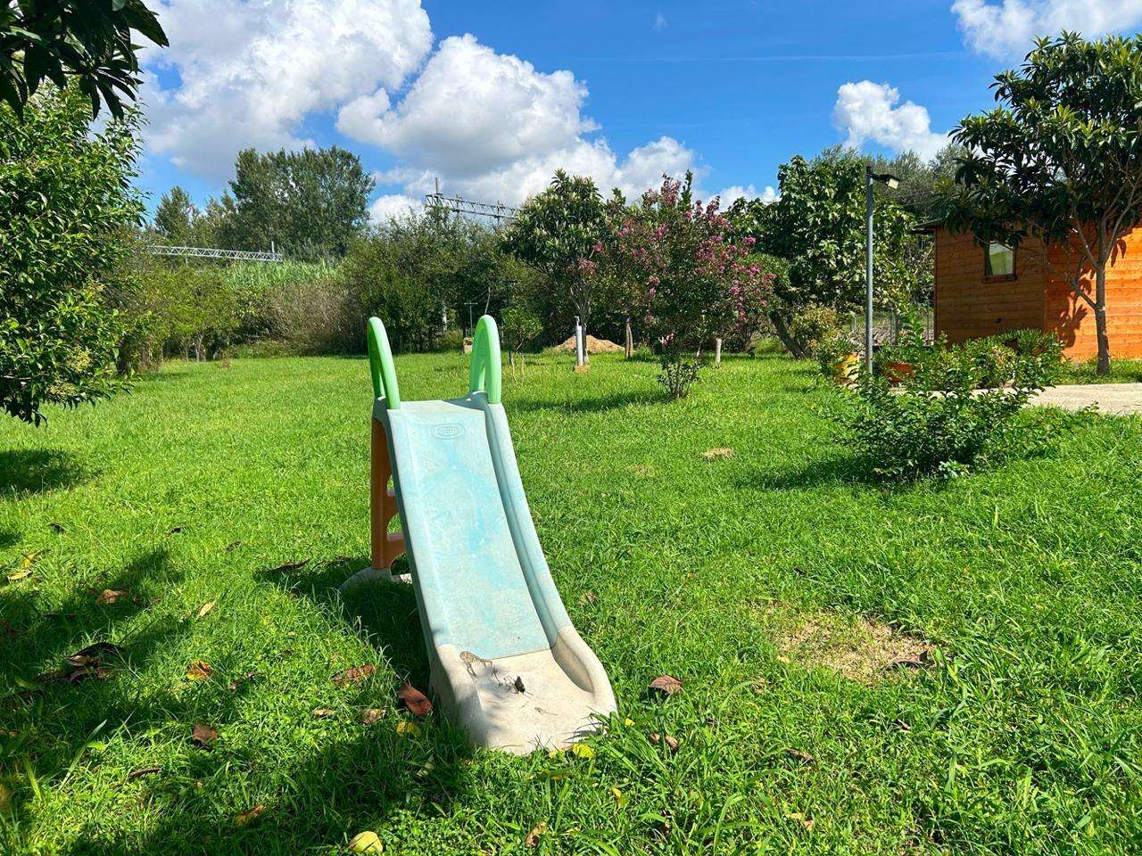  - foto 42