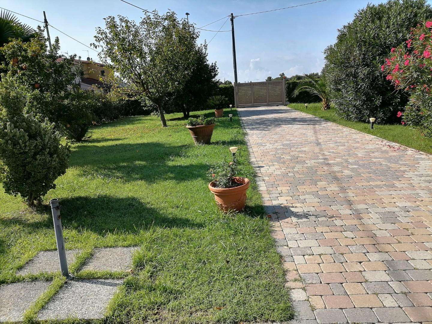  - foto 47