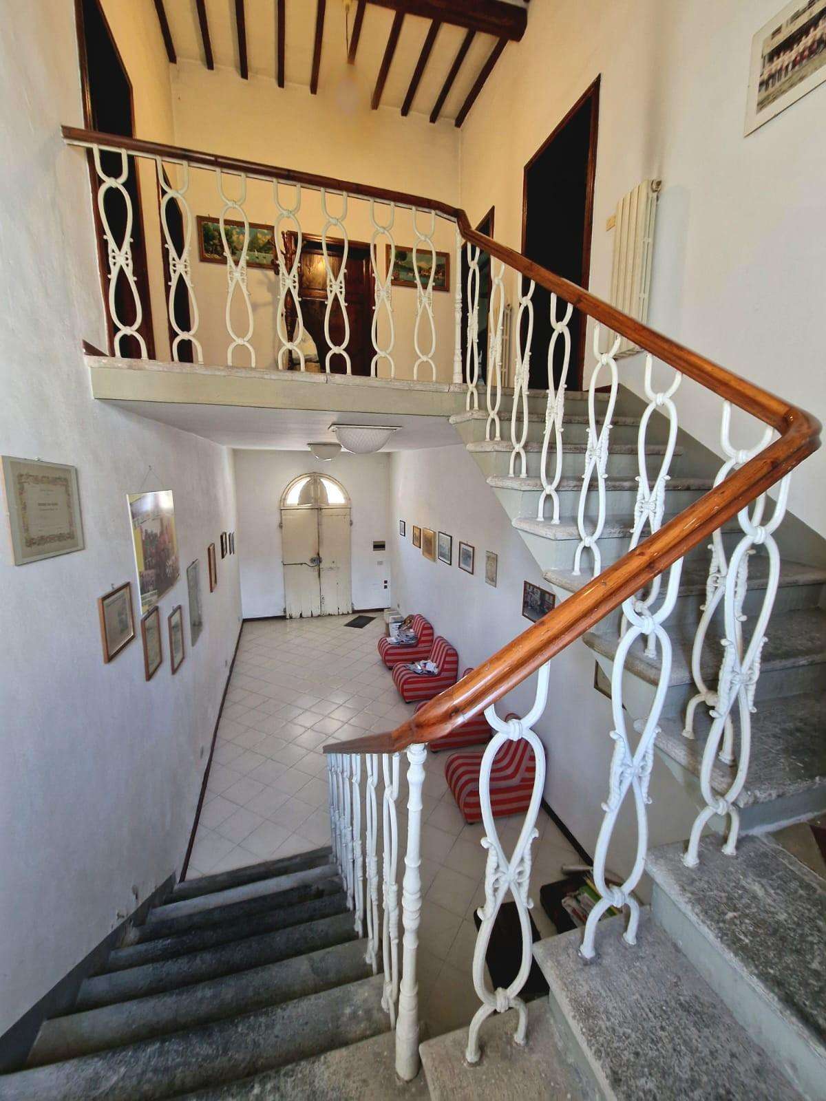 immagine annuncio 6 di 14