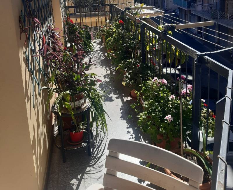 immagine annuncio 7 di 8