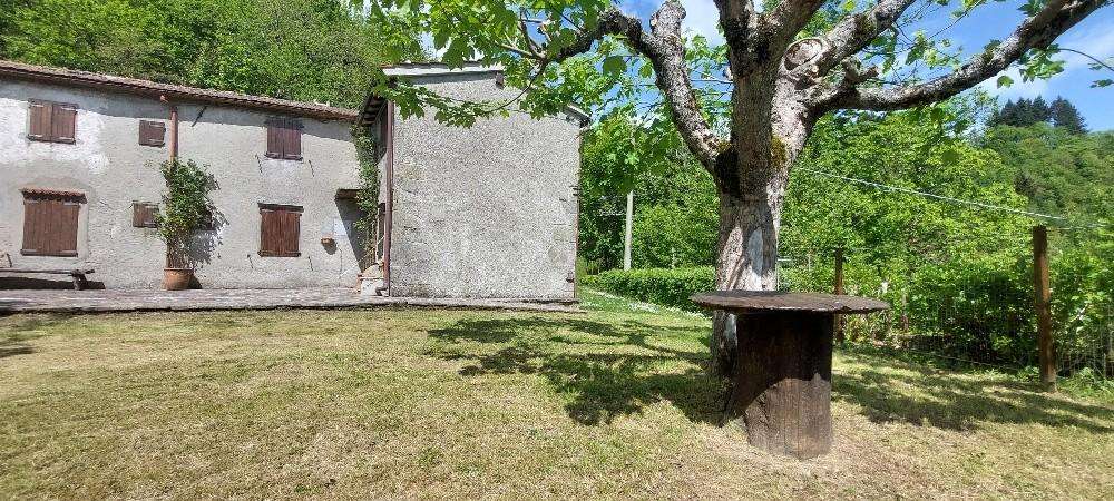 immagine annuncio 2 di 6