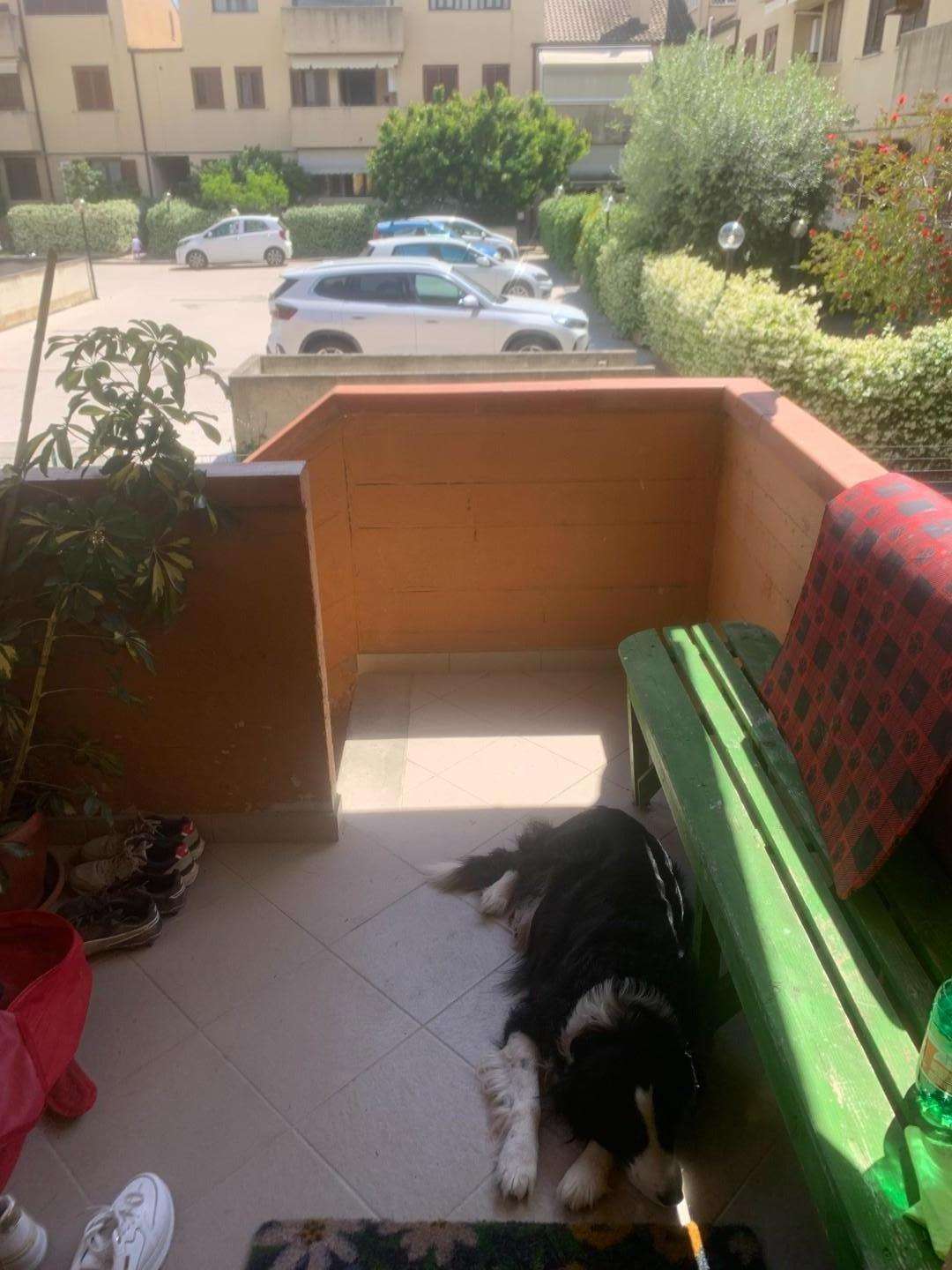  - foto 29