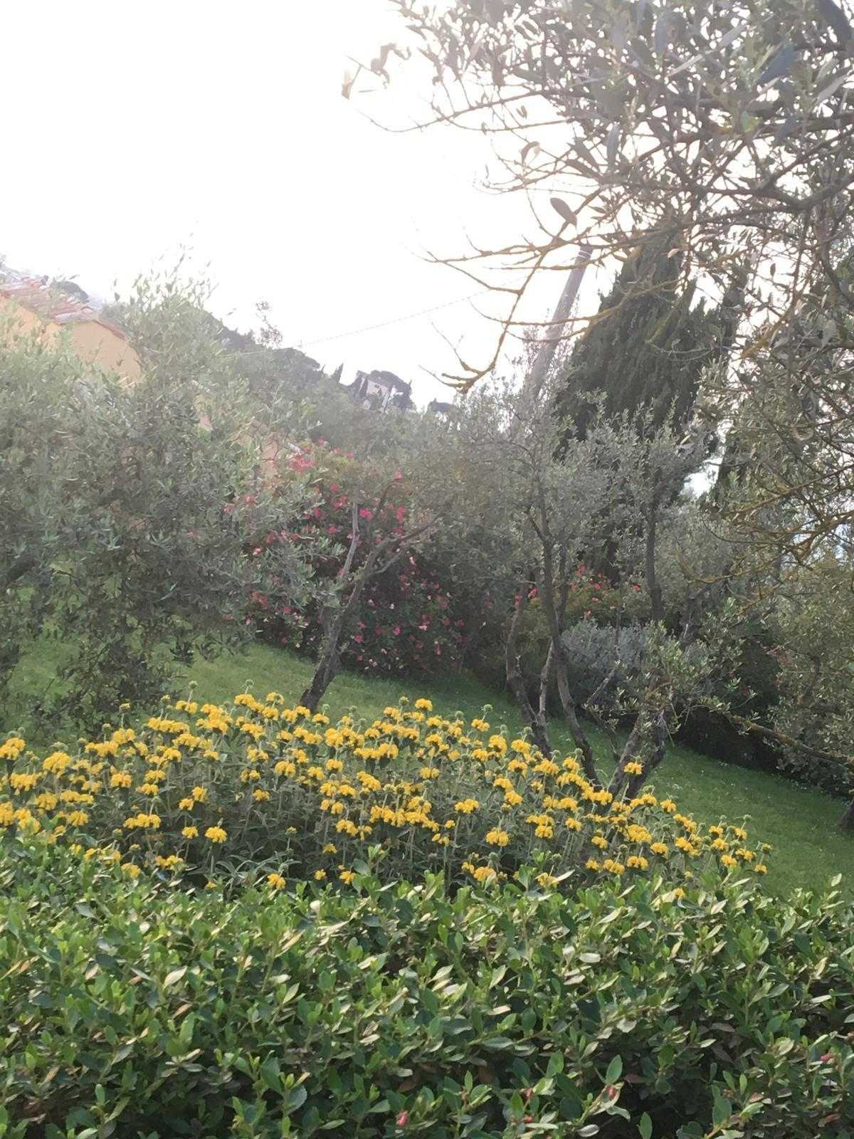  - foto 64