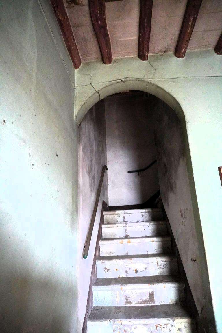  - foto 7