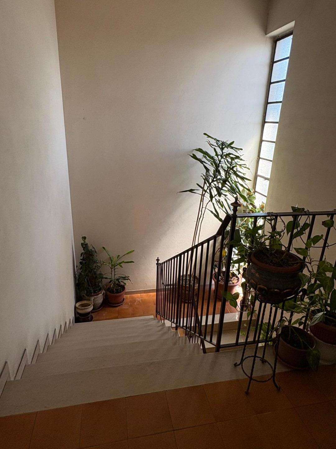  - foto 22