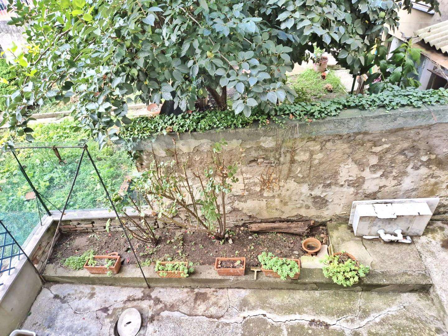  - foto 9