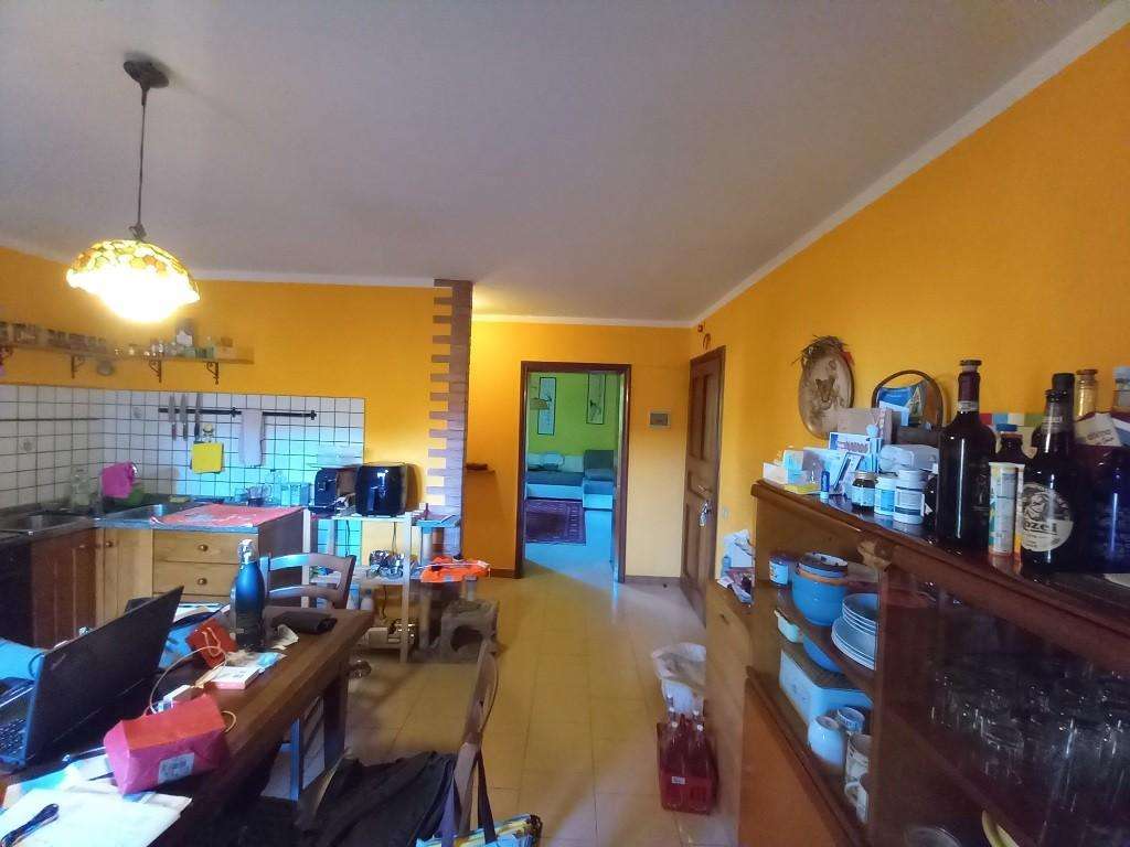  - foto 4