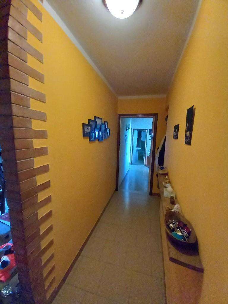  - foto 6