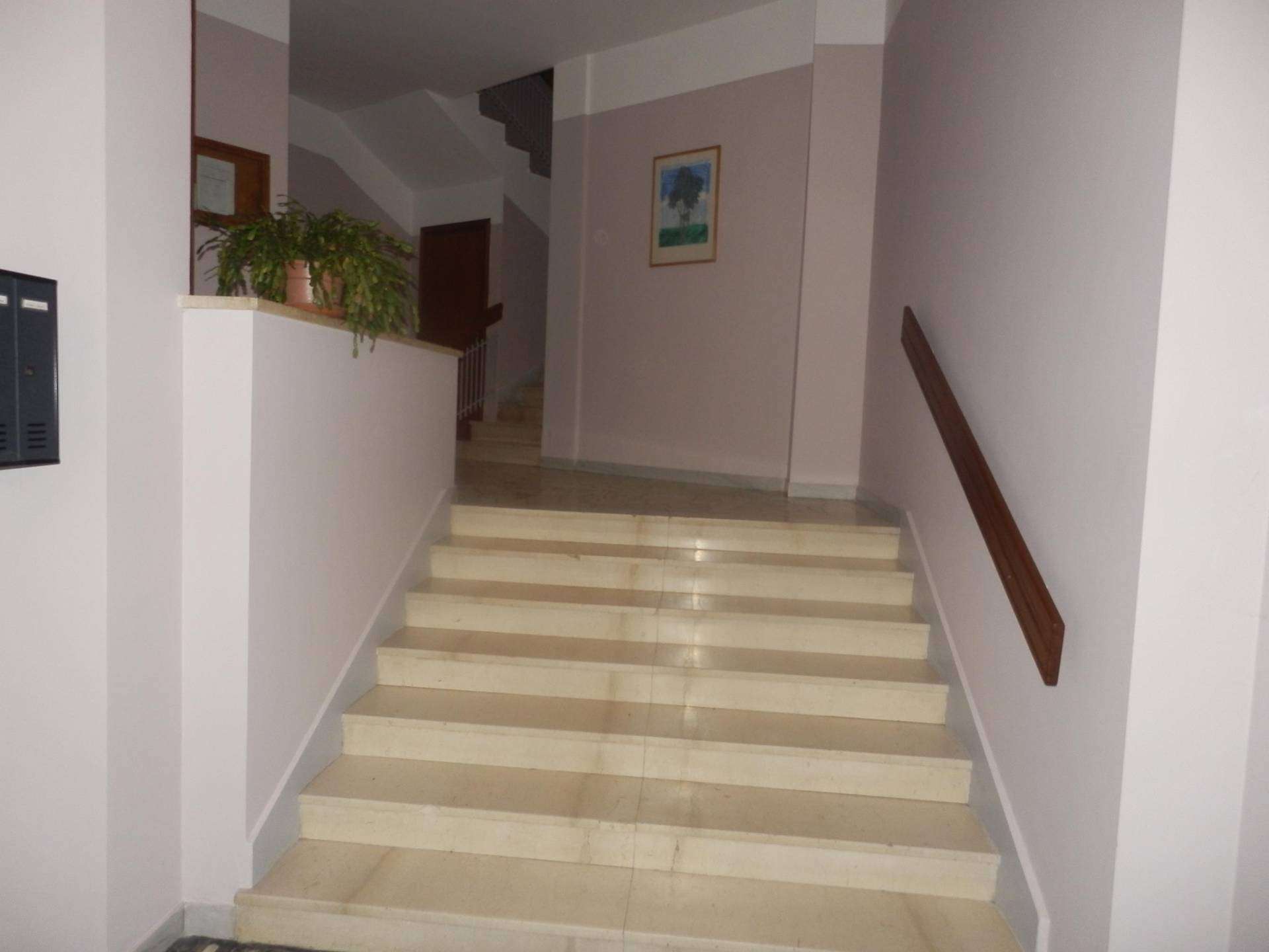  - foto 50