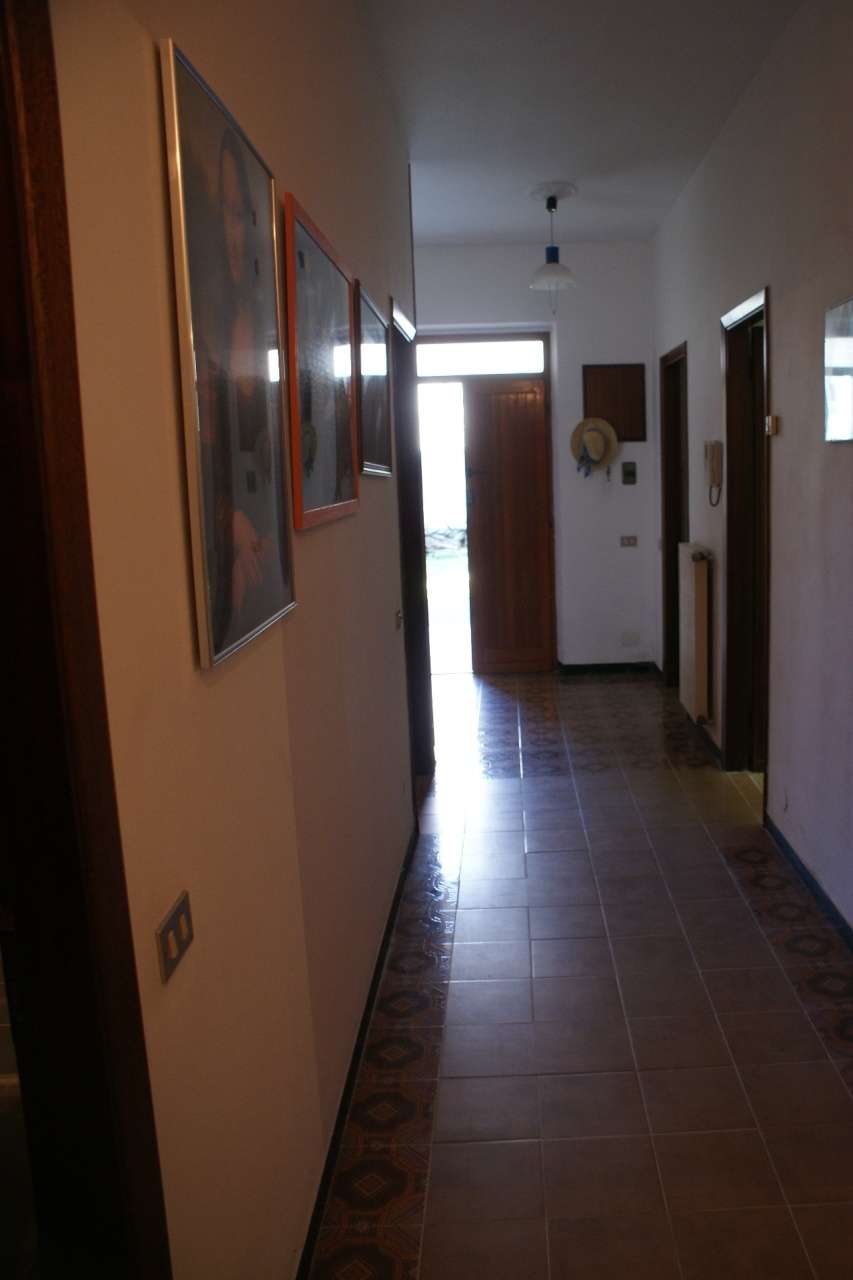  - foto 12