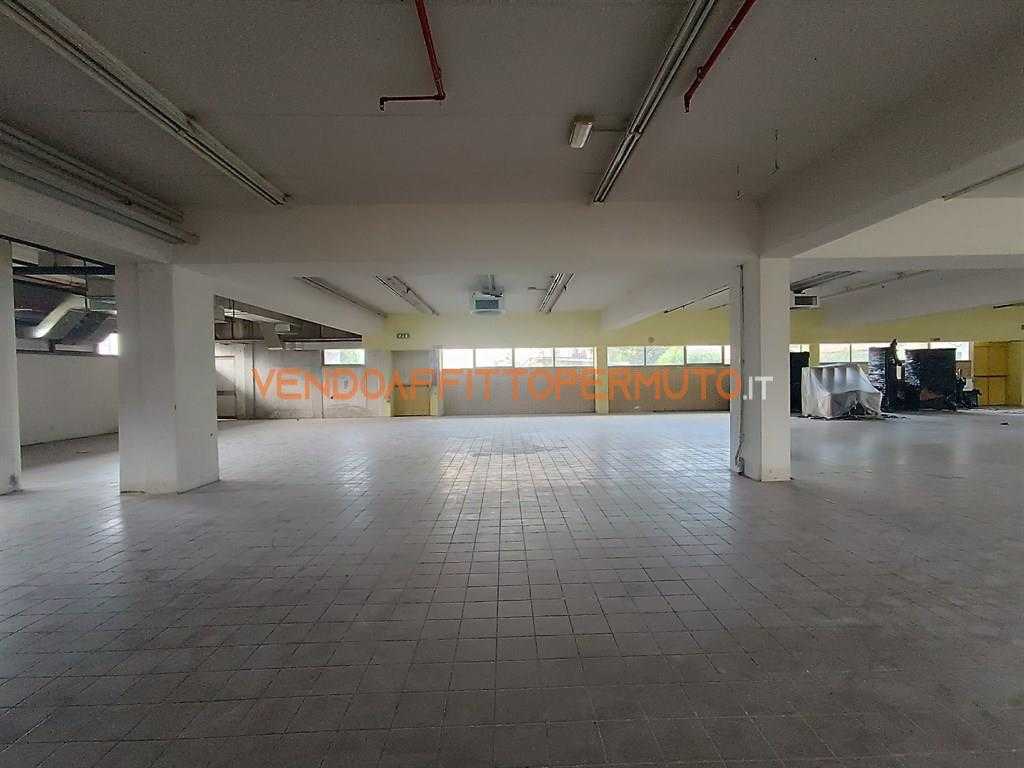  - foto 11