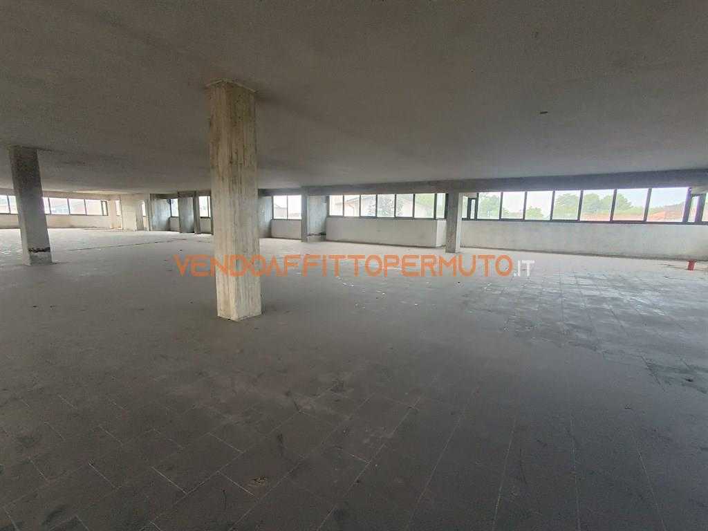  - foto 12