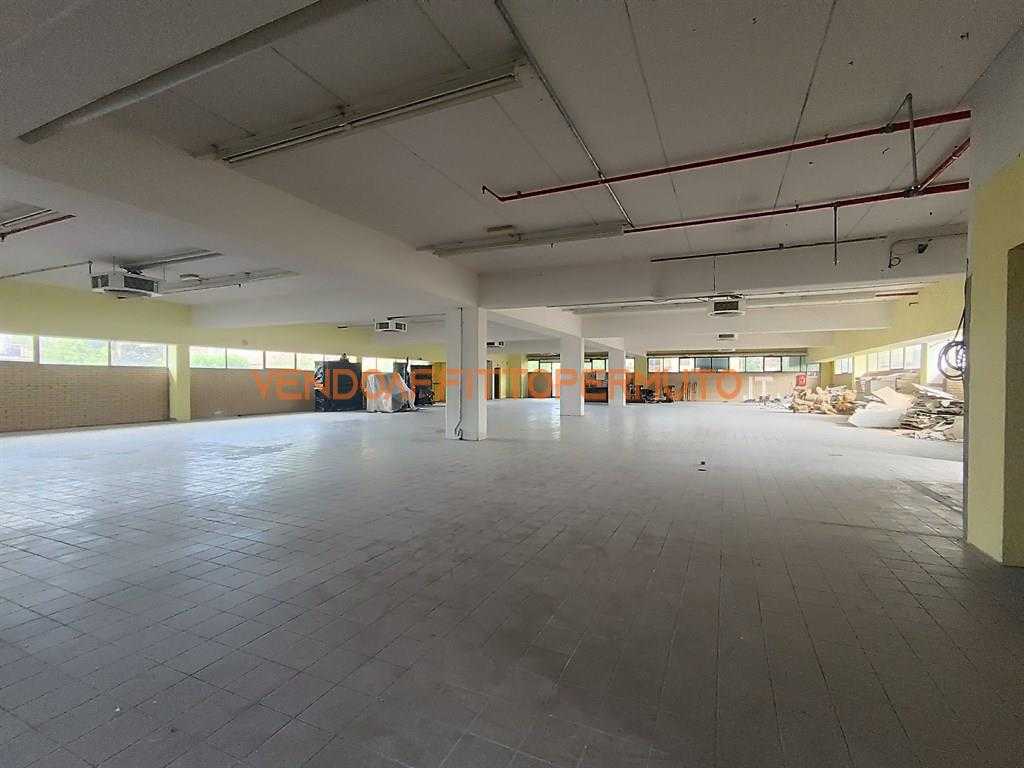  - foto 5